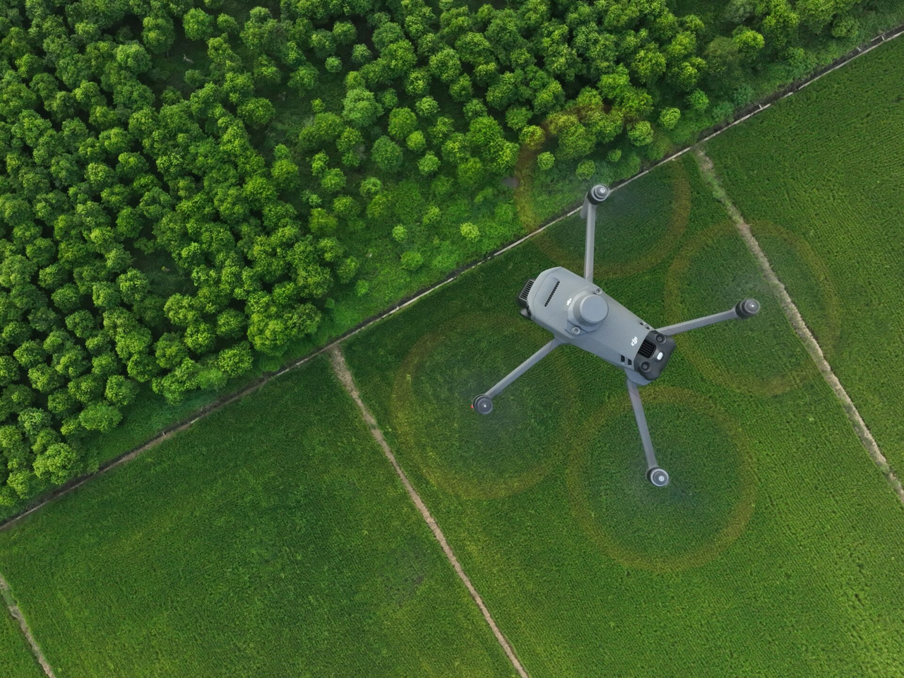 DJI Mavic 3 Multispectral von oben über Ackerflächen und angrenzendem Baumbestand