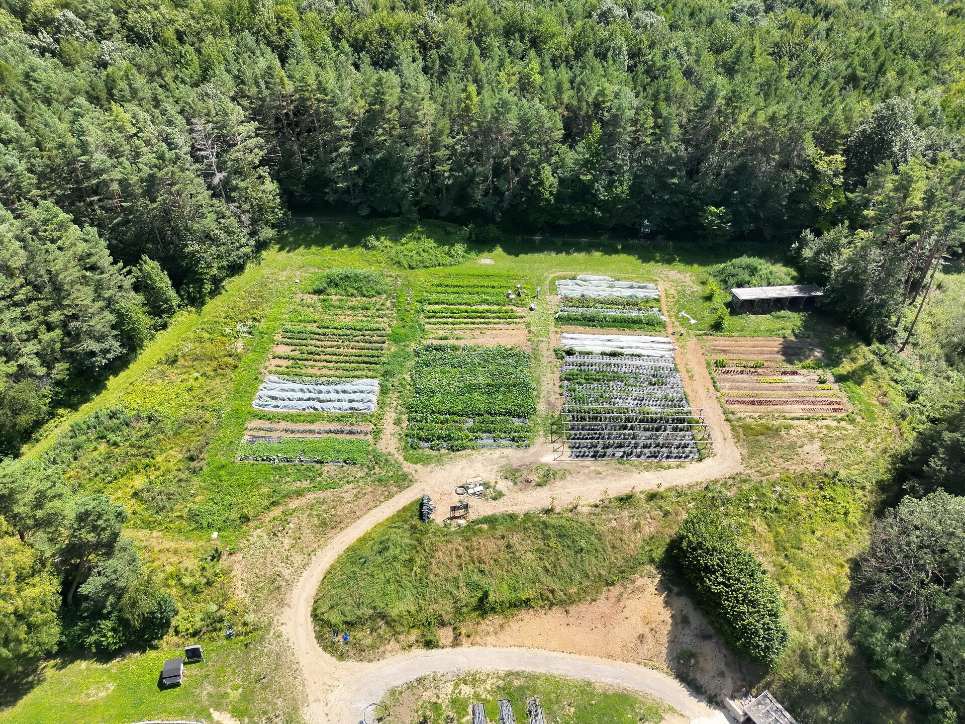 Luftaufnahme landwirtschaftlicher Anbauflächen am Waldrand