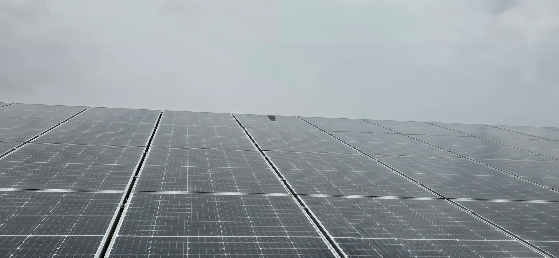 Photovoltaikmodule in Nahaufnahme